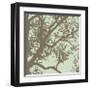 Winter Tree IV-Erin Clark-Framed Giclee Print