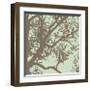 Winter Tree IV-Erin Clark-Framed Giclee Print