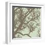 Winter Tree IV-Erin Clark-Framed Giclee Print