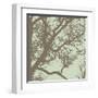 Winter Tree IV-Erin Clark-Framed Art Print