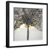 Winter Tree Lights-Caroline Ashwood-Framed Giclee Print