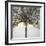 Winter Tree Lights-Caroline Ashwood-Framed Giclee Print