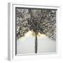 Winter Tree Lights-Caroline Ashwood-Framed Giclee Print