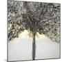 Winter Tree Lights-Caroline Ashwood-Mounted Giclee Print