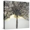 Winter Tree Lights-Caroline Ashwood-Stretched Canvas