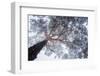 Winter tree lines-Ales Krivec-Framed Photographic Print