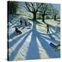 Winter Tree, Snow Sledgers, Calke Abbey, Derby-Andrew Macara-Stretched Canvas
