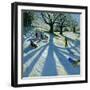 Winter Tree, Snow Sledgers, Calke Abbey, Derby-Andrew Macara-Framed Giclee Print