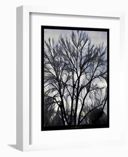 Winter Tree-Tim Nyberg-Framed Giclee Print