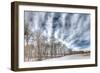 Winter Treeline-Robert Goldwitz-Framed Photographic Print