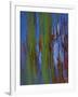 Winter Trees 2, c.1972-Isabel Alexander-Framed Giclee Print