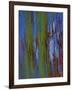 Winter Trees 2, c.1972-Isabel Alexander-Framed Giclee Print