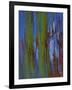 Winter Trees 2, c.1972-Isabel Alexander-Framed Giclee Print