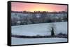 Winter Trees and Fields in Dawn Frost, Stow-On-The-Wold, Gloucestershire, Cotswolds, England, UK-Stuart Black-Framed Stretched Canvas