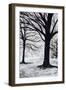 Winter Trees, Greenwich Park, 2004-Ellen Golla-Framed Giclee Print