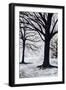 Winter Trees, Greenwich Park, 2004-Ellen Golla-Framed Giclee Print