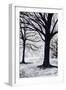 Winter Trees, Greenwich Park, 2004-Ellen Golla-Framed Giclee Print