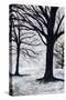 Winter Trees, Greenwich Park, 2004-Ellen Golla-Stretched Canvas