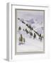 Winter Trees, Haute Nandez, Switzerland, 1989-Sarah Butterfield-Framed Giclee Print