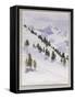 Winter Trees, Haute Nandez, Switzerland, 1989-Sarah Butterfield-Framed Stretched Canvas