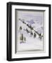 Winter Trees, Haute Nandez, Switzerland, 1989-Sarah Butterfield-Framed Giclee Print