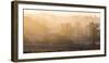 Winter trees in misty panorama, Surrey, England, United Kingdom, Europe-Charles Bowman-Framed Photographic Print