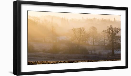 Winter trees in misty panorama, Surrey, England, United Kingdom, Europe-Charles Bowman-Framed Photographic Print