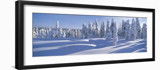 Winter Trees Sweden-Panoramic Images-Framed Photographic Print