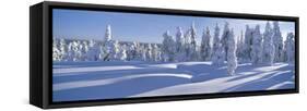 Winter Trees Sweden-Panoramic Images-Framed Stretched Canvas