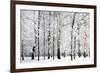 Winter Trees-LeniKovaleva-Framed Photographic Print