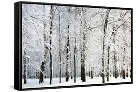 Winter Trees-LeniKovaleva-Framed Stretched Canvas