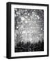 winter trees-Tracey Telik-Framed Photographic Print