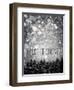 winter trees-Tracey Telik-Framed Photographic Print
