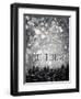 winter trees-Tracey Telik-Framed Photographic Print