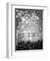 winter trees-Tracey Telik-Framed Photographic Print