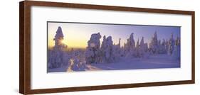 Winter Trees-Panoramic Images-Framed Photographic Print