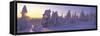 Winter Trees-Panoramic Images-Framed Stretched Canvas