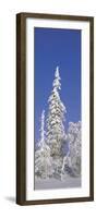 Winter Trees-Panoramic Images-Framed Photographic Print