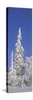 Winter Trees-Panoramic Images-Stretched Canvas