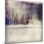 Winter Trees-Christine O’Brien-Mounted Giclee Print