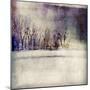 Winter Trees-Christine O’Brien-Mounted Giclee Print