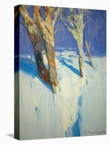 Winter Trees-Vahe Yeremyan-Stretched Canvas