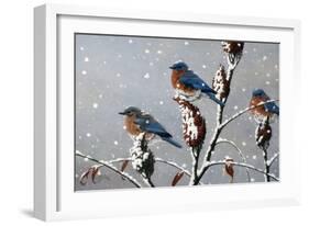 Winter Trio-Wilhelm Goebel-Framed Giclee Print