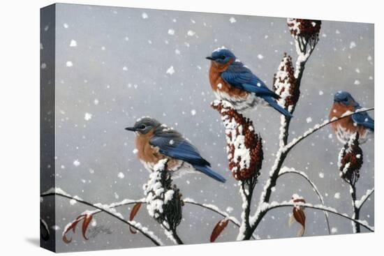 Winter Trio-Wilhelm Goebel-Stretched Canvas