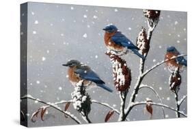 Winter Trio-Wilhelm Goebel-Stretched Canvas