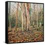 Winter Trunk, 2010-Noel Paine-Framed Stretched Canvas