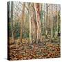 Winter Trunk, 2010-Noel Paine-Stretched Canvas