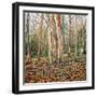 Winter Trunk, 2010-Noel Paine-Framed Giclee Print