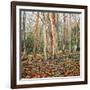 Winter Trunk, 2010-Noel Paine-Framed Giclee Print