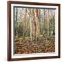 Winter Trunk, 2010-Noel Paine-Framed Giclee Print